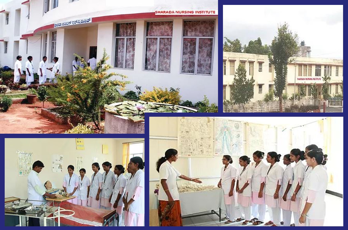 Shree Sharada School of Nursing